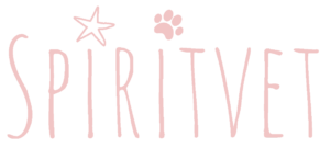 SpiritVet_Logo_Dr_Lombard_Veterinaire_f1c5c5